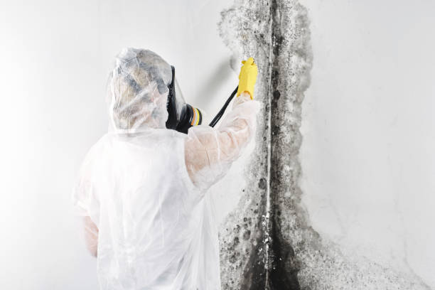 24/7 water damage repair in Hallettsville, TX